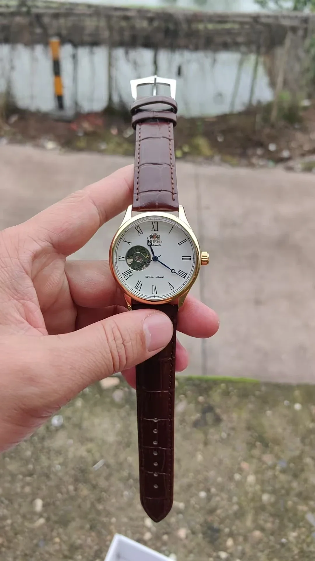 Zegarek mechaniczny DFDG z peł – Seiko Watch Presage recenzja i cena